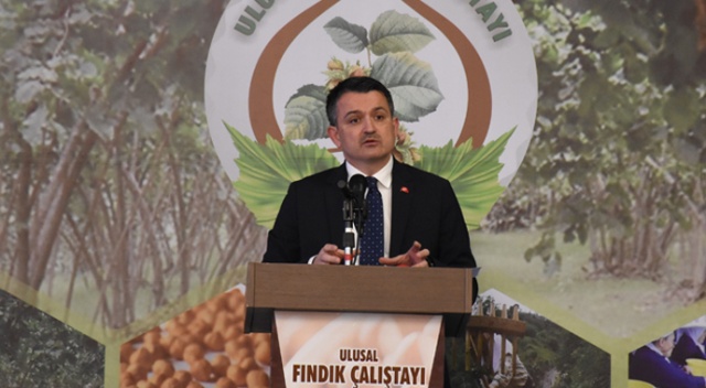 Bakan Pakdemirli: 'Fındığın Türkiye’ye katkısını, 3 milyar dolar olarak belirledik' Bakan Pakdemirli: 'Fındığın Türkiye’ye katkısını, 3 milyar dolar olarak belirledik'