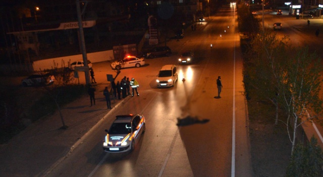 Başıboş at kazaya yol açtı Başıboş at kazaya yol açtı