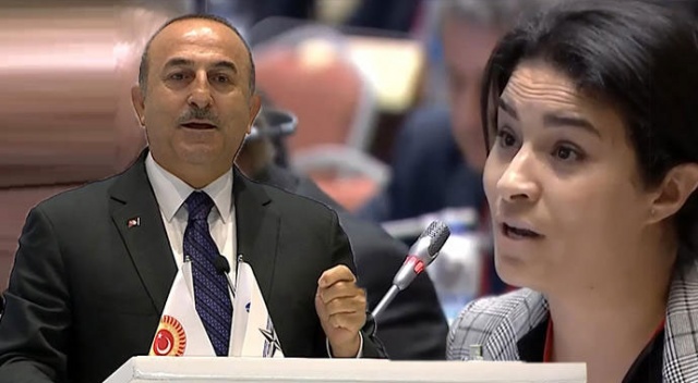 Çavuşoğlu&#039;ndan Fransız Parlamenter Krimi&#039;ye sert cevap