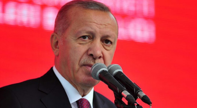 Cumhurbaşkanı Erdoğan, Avrupa şampiyonu Akgül'ü kutladı Cumhurbaşkanı Erdoğan, Avrupa şampiyonu Akgül'ü kutladı