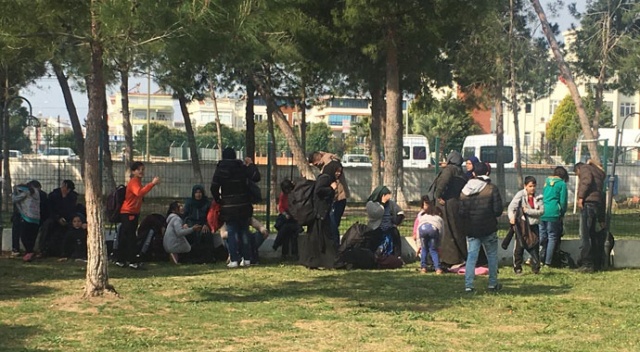 Didim'de 43 düzensiz göçmen yakalandı Didim'de 43 düzensiz göçmen yakalandı