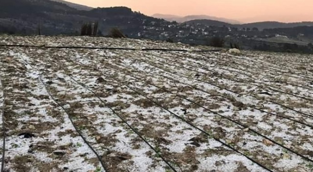 Dolunun zararı yaklaşık 2,5 milyon lira
