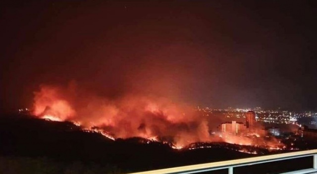Güney Kore'de 'ulusal felaket' ilan edildi Güney Kore'de 'ulusal felaket' ilan edildi