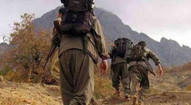 Habur'da 2'si kadın PKK'lı 4 terörist teslim oldu Habur'da 2'si kadın PKK'lı 4 terörist teslim oldu