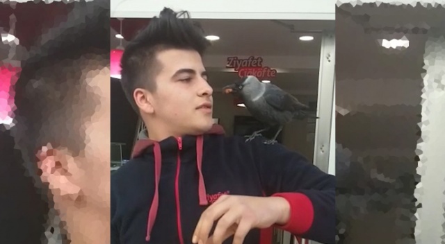 Karganın çiğ köfte sevgisi Karganın çiğ köfte sevgisi