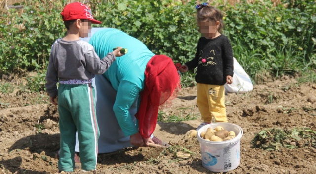 Kocasının 3 çocukla ortada bıraktığı kadının yaşam mücadelesi yürek burktu