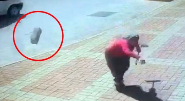 Köpeğe, parke taşıyla saldırdı Köpeğe, parke taşıyla saldırdı