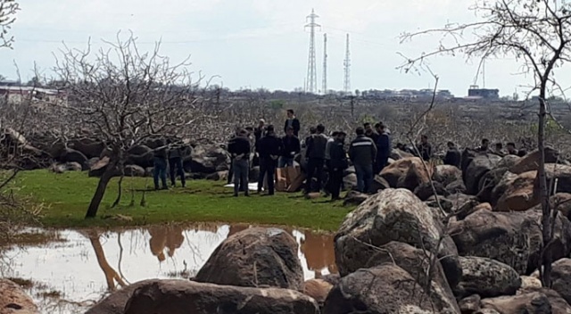 Koyun otlatan çobanlar tarlada mühimmat buldu