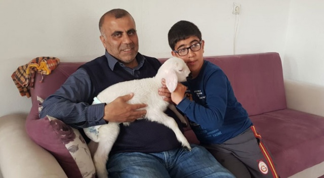 Kuzuyla alışverişe gidiyor, çocuk bezi bağlıyor Kuzuyla alışverişe gidiyor, çocuk bezi bağlıyor