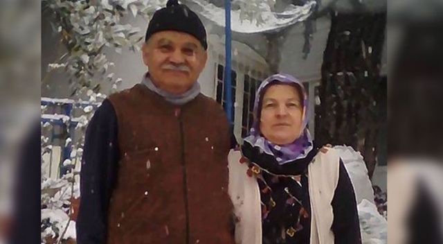 Odun yaptığı ağacın altında kalarak öldü Odun yaptığı ağacın altında kalarak öldü