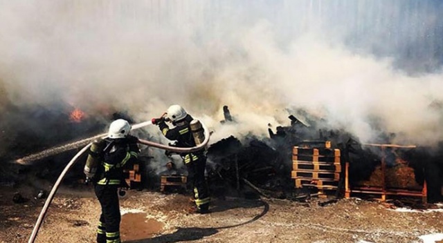 Palet fabrikasında korkutan yangın