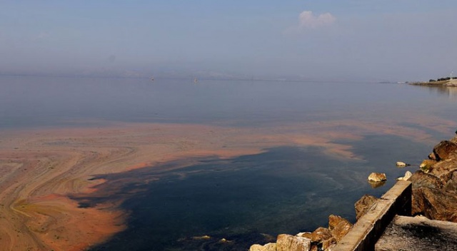 Planktonların çoğalmasıyla deniz kıyısı renklendi