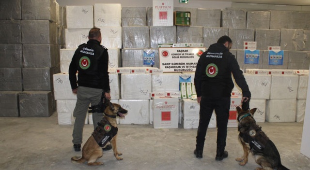 Sarp’ta 627 bin 500 paket kaçak sigara ele geçirildi Sarp’ta 627 bin 500 paket kaçak sigara ele geçirildi