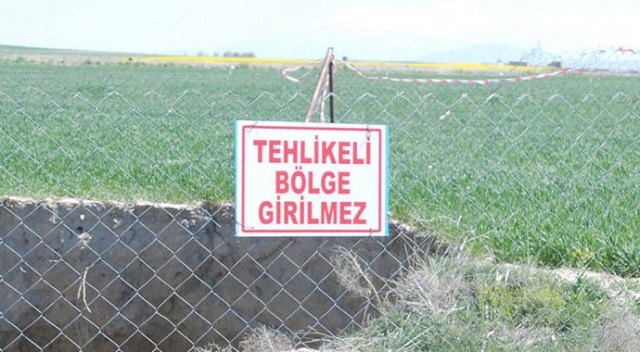 Sayısı 300'ü aştı! Bölge halkı korkuyla yaşıyor