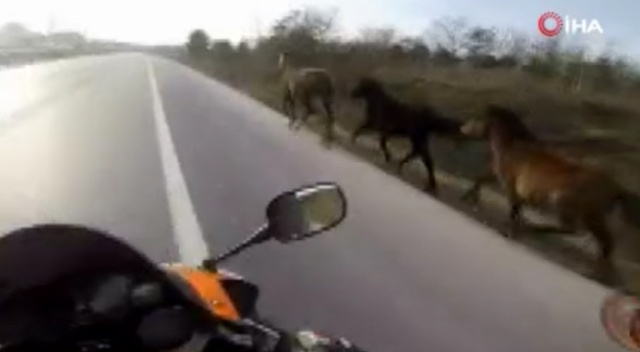 Şile yolunda motosikletli asfalt kovboyları kamerada Şile yolunda motosikletli asfalt kovboyları kamerada