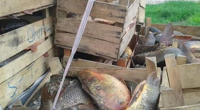 Şüphe üzerine durdurulan araçta çıktı! Neredeyse 1 ton