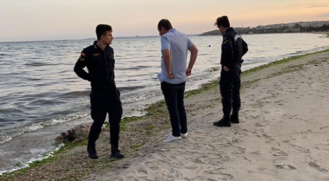 35 yıldır görülmüyordu! Silivri'de kıyıya vurdu