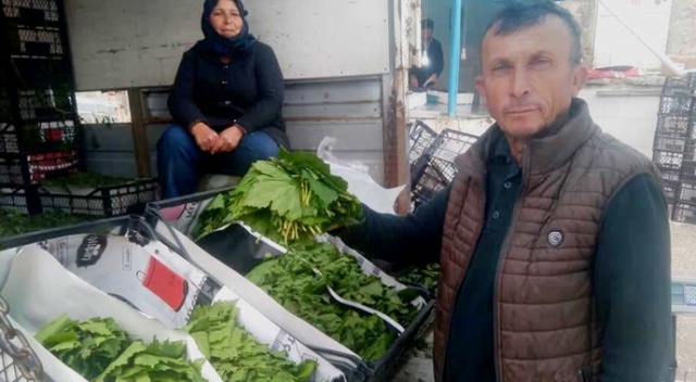 Asma yaprağının fiyatı ikiye katlandı