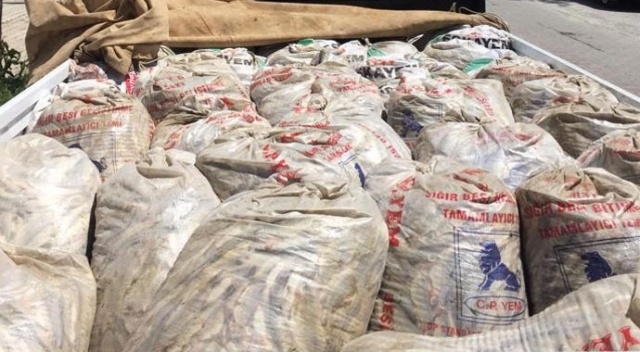 Çaldıran’da 5 ton 625 kilo inci kefali ele geçirildi
