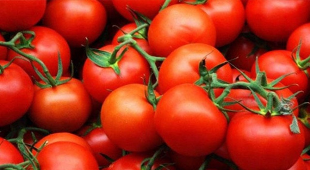 Domates üreticisini kışın sevindirdi, yazın üzüyor