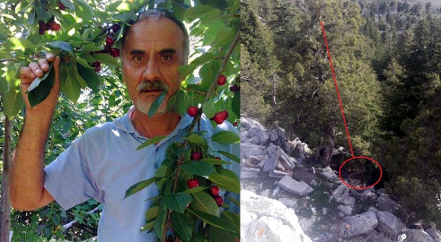 Fotoğraf çekmek için çıktığı ağaçtan düşen kişi öldü Fotoğraf çekmek için çıktığı ağaçtan düşen kişi öldü