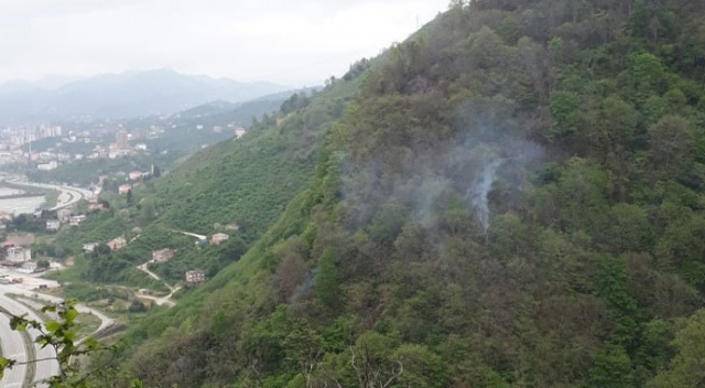Giresun’da orman yangını Giresun’da orman yangını