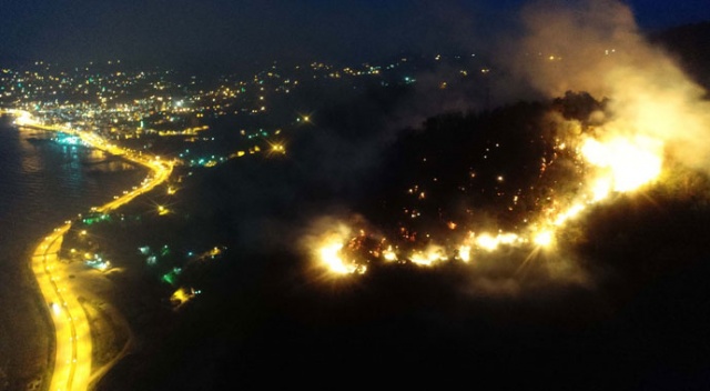 Giresun'da orman yangını söndürülemiyor
