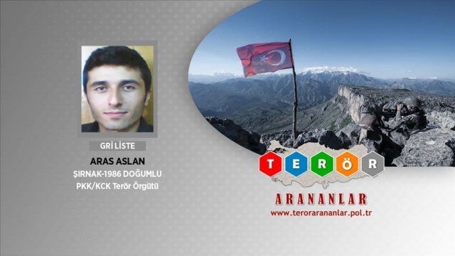 Giresun&#039;da yakalanan terörist tutuklandı