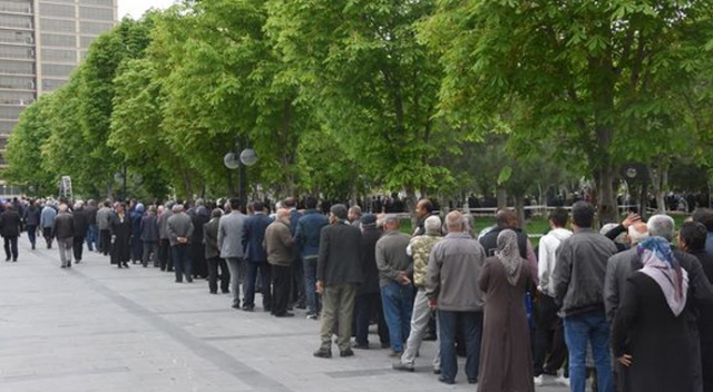 Kayseri'de 1 kilometrelik domates fidesi kuyruğu Kayseri'de 1 kilometrelik domates fidesi kuyruğu