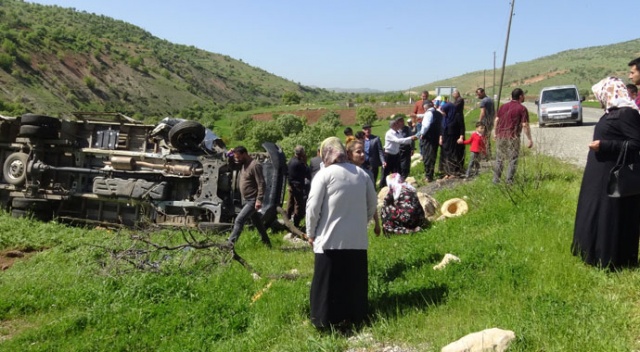 Kaza yapan araç 5 ağacı devirdikten sonra durabildi