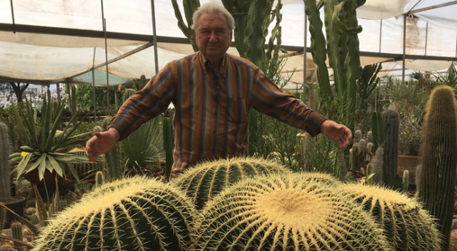 Milyonlar verilse de kendisiyle yaşıt kaktüslerini satmadı