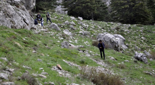 Ormanlık alanda bulunan ceset morga kaldırıldı Ormanlık alanda bulunan ceset morga kaldırıldı