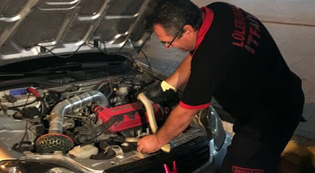 Otomobilin motorundan yılan çıktı Otomobilin motorundan yılan çıktı