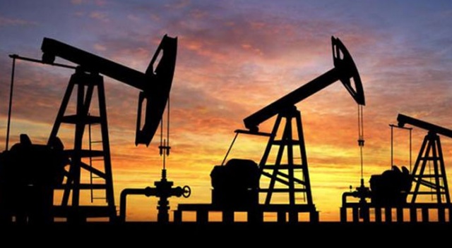 Petrol ithalatı şubatta arttı