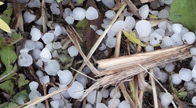 Sakarya’da fındık büyüklüğünde dolu yağdı