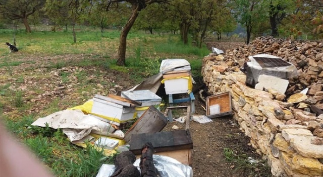Uludağ'da ayılar bu köye dadandı...Her gün köye gelip kovanları parçalıyor Uludağ'da ayılar bu köye dadandı...Her gün köye gelip kovanları parçalıyor