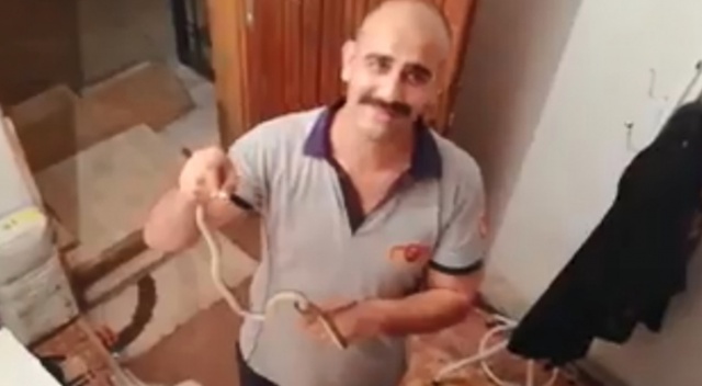 Yılanlar evi bastı Yılanlar evi bastı