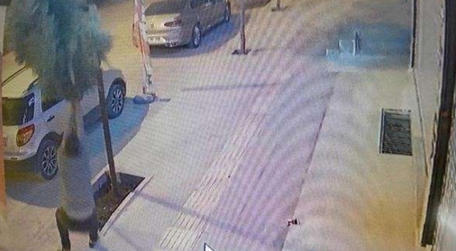 Ağacı kıran zanlının cezası belli oldu Ağacı kıran zanlının cezası belli oldu