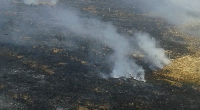 Arpa tarlası alev alev yandı