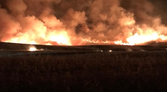 Batman'da yıldırım düşen alanda yangın