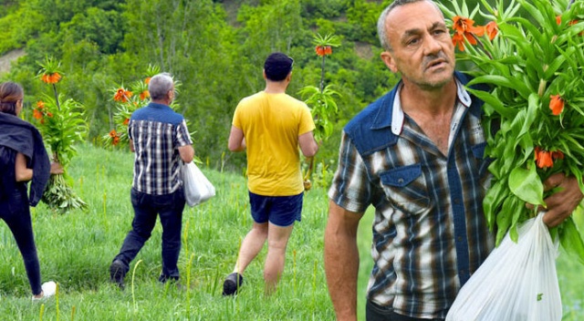 Böyle görüntülendiler! Cezası 60 bin lira ama... Böyle görüntülendiler! Cezası 60 bin lira ama...