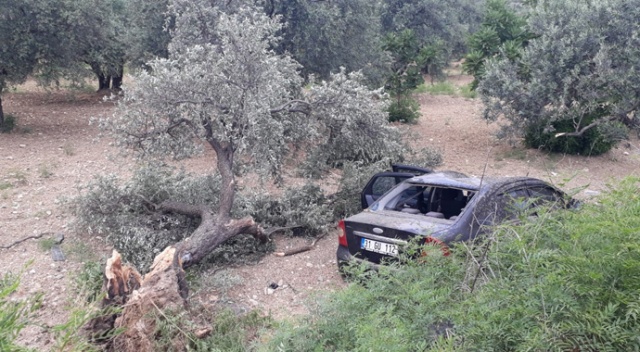 Çalan telefona bakması kazaya neden oldu: 3 yaralı