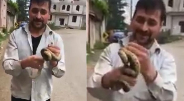 Çıplak eliyle yakaladığı yılanla oynadı Çıplak eliyle yakaladığı yılanla oynadı