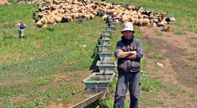 İran’dan gelip Yüksekova’da ayda 3 bin 400 TL’ye çoban oldu İran’dan gelip Yüksekova’da ayda 3 bin 400 TL’ye çoban oldu