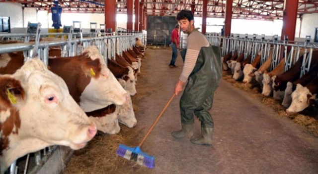 İzin belgesi olmayan satış yapamayacak