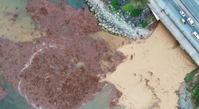 Karadeniz için korkutan açıklama! Karadeniz için korkutan açıklama!