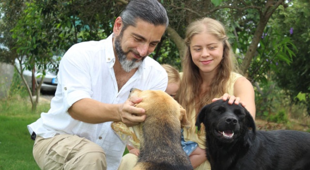 Köpekleri zehirleyen şüphelinin bulunması için para ödülü koydu