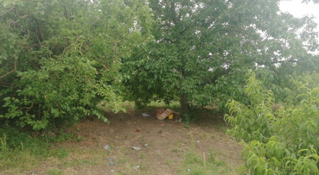 Piknik yaparken üzerine yıldırım düştü Piknik yaparken üzerine yıldırım düştü
