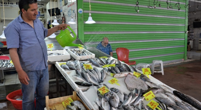 Ramazan ayında balıkçı esnafı satışlarından memnun