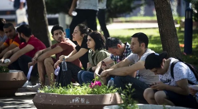 Sosyal Çalışma Programı başvuruları başladı